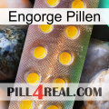 Engorge Pills new11
